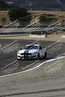 media/Aug-23-2024-Speed Ventures (Fri) [[92f1efc5e7]]/Green/Session 1 (Turn 3)/